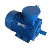 CT4防爆电机和BT4防爆电机有什么区别？