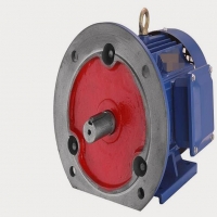 怎样区分电容式和罩极式单相电机？